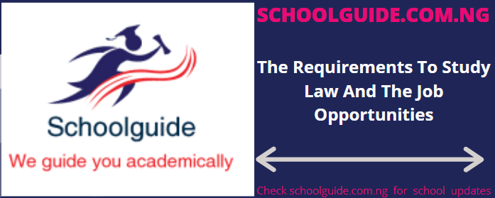 The Requirements To Study Law And The Job Opportunities